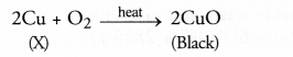 NCERT Solutions for Class 10 Science Chapter 1 Chemical Reactions and Equations 20